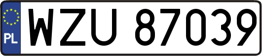 WZU87039