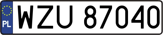 WZU87040