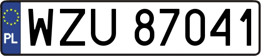 WZU87041