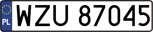 WZU87045