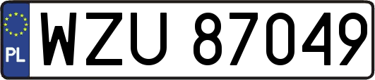 WZU87049
