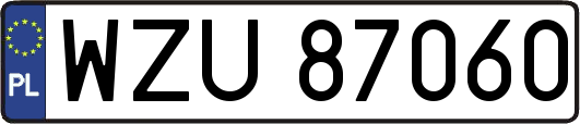 WZU87060