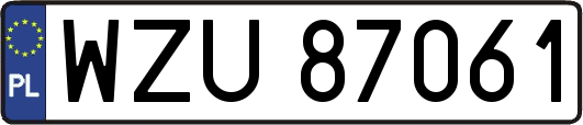 WZU87061