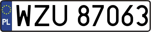 WZU87063