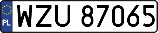 WZU87065