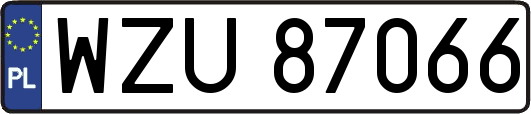 WZU87066
