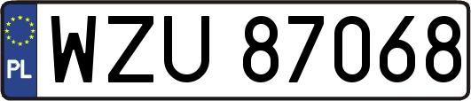WZU87068