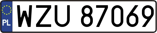 WZU87069