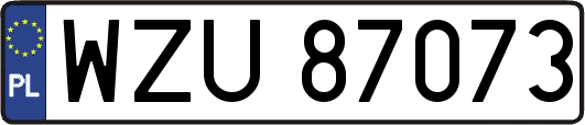 WZU87073