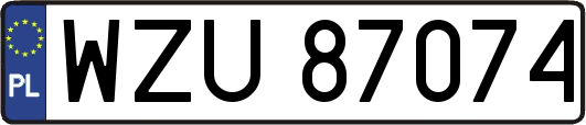 WZU87074