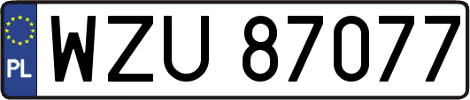WZU87077