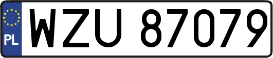 WZU87079