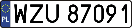 WZU87091