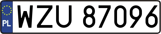 WZU87096