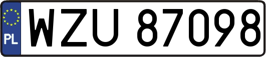 WZU87098