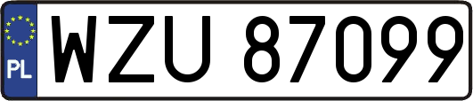 WZU87099