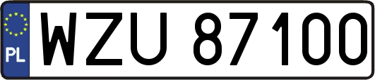 WZU87100