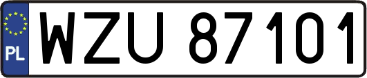 WZU87101