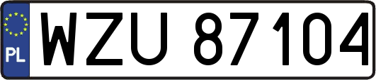 WZU87104