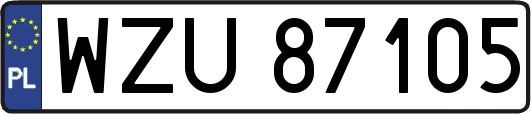 WZU87105