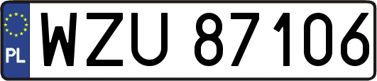 WZU87106