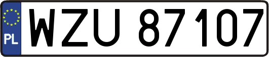 WZU87107