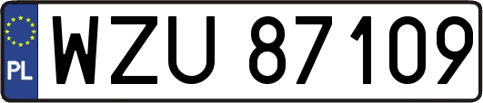 WZU87109