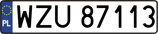 WZU87113