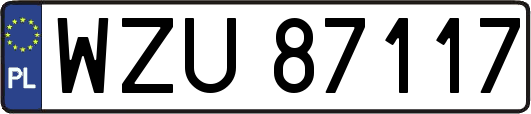 WZU87117