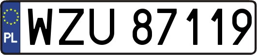 WZU87119