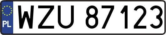 WZU87123