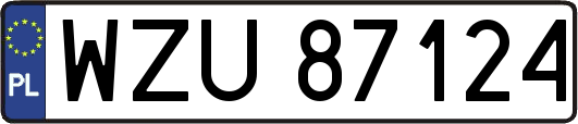 WZU87124
