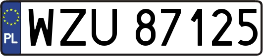 WZU87125