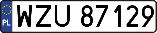 WZU87129