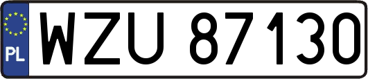 WZU87130