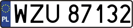 WZU87132