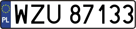 WZU87133
