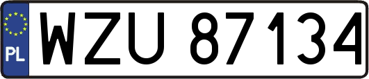 WZU87134