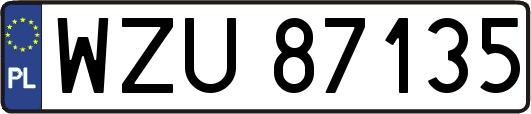WZU87135