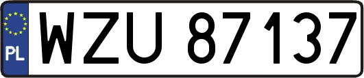 WZU87137