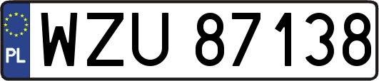 WZU87138