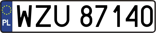 WZU87140