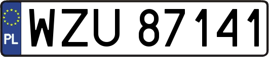 WZU87141