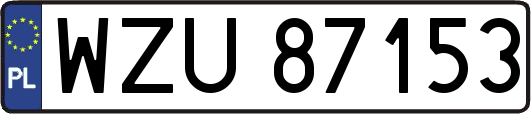 WZU87153
