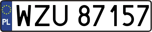 WZU87157