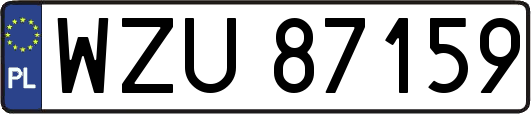 WZU87159