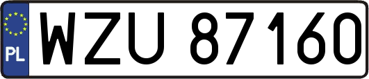 WZU87160
