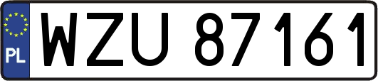 WZU87161