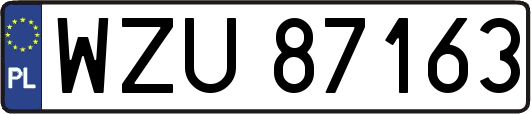 WZU87163