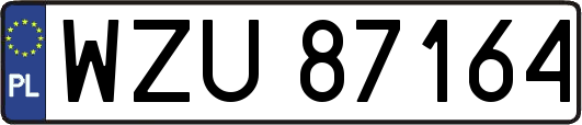 WZU87164
